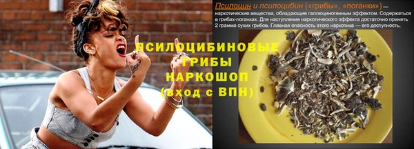 мет Арсеньев